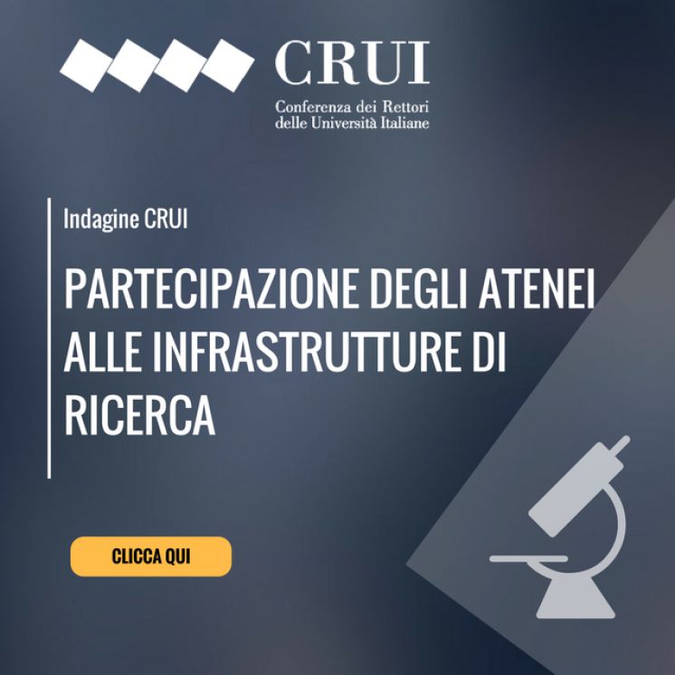 La partecipazione degli Atenei alle Infrastrutture di Ricerca (2017)